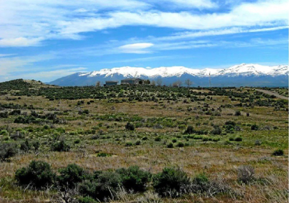 Top U.S. States for Raw Land Investment in 2025